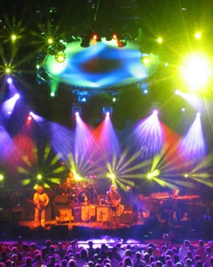 A Roots Picnic Experience