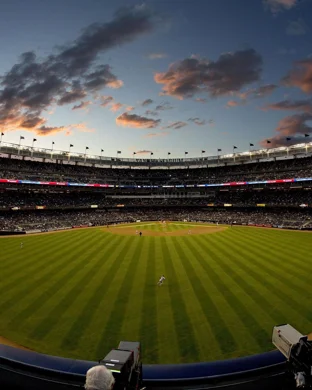 Baltimore Orioles vs. Los Angeles Dodgers