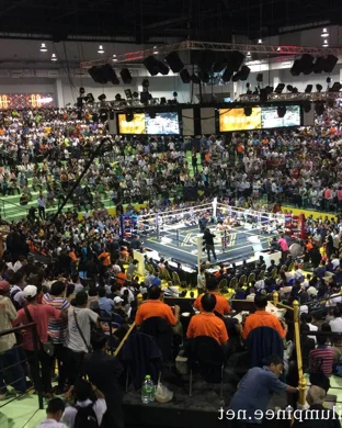 Diego Pacheco vs. Darius Fulghum