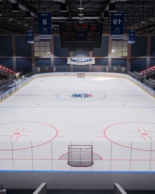 NHL Stanley Cup Finals: Anaheim Ducks vs. TBD - Home Game 4 (Date: TBD - If Necessary)