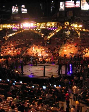 Ronda Rousey vs. Gina Carano & Ngannou vs. Lins