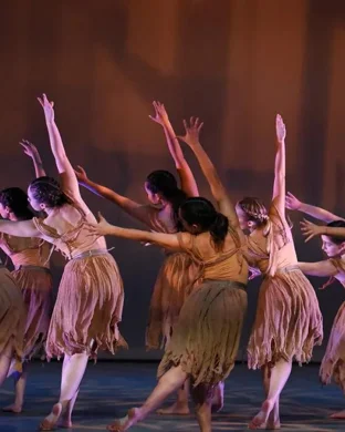 Conference of the Birds